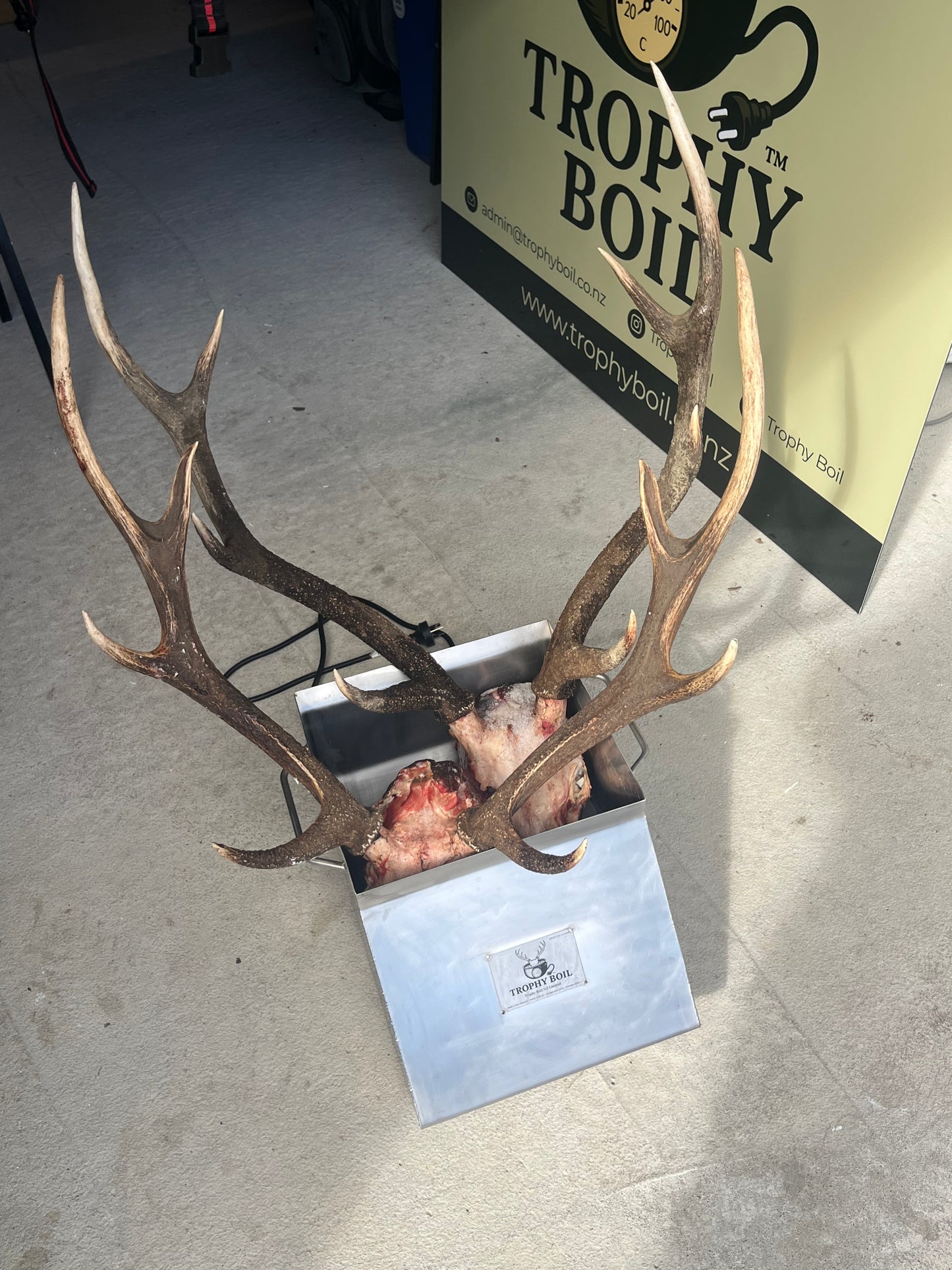 Electric Trophy Skull Simmering Unit – Original