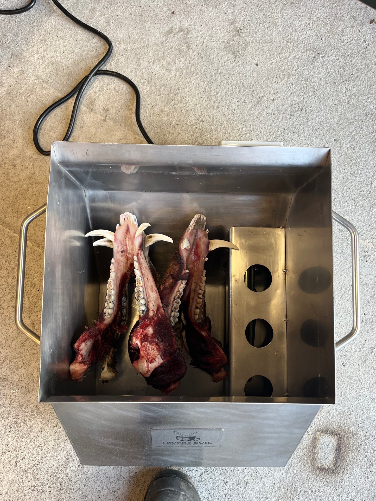 Electric Trophy Skull Simmering Unit – Original