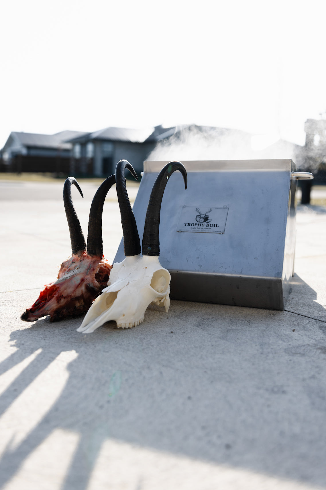 Electric Trophy Skull Simmering Unit – Original